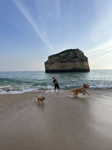 A imagem mostra uma cena serena na praia com um homem, dois cães e uma grande formação rochosa ao fundo, em um céu azul claro.