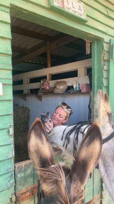 A woman smiles while holding a gray cat in a rustic stable. Donkey ears frame the foreground, and supplies are stacked on a wooden shelf behind them.