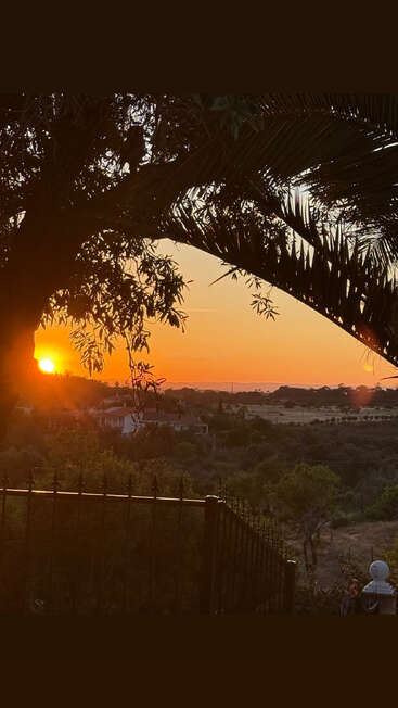 A golden sunset descends over a peaceful countryside, framed by silhouetted trees and palm leaves. Distant houses rest quietly, while a fence sits in the foreground.