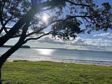 A tree's silhouette frames a serene beach scene; sunlight sparkles on calm blue water, with green grass, soft clouds, and distant land under a clear sky.