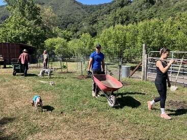 Eine Gruppe Leute arbeitet an einem sonnigen Tag draußen im Garten, mit Schubkarren und Werkzeugen, umgeben von Grün, Bäumen, Hunden und fernen Hügeln.