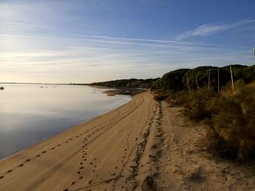 La imagen representa una serena escena playera con una costa de arena, una tranquila masa de agua y una exuberante zona verde a la derecha, todo ello bajo un cielo azul.
