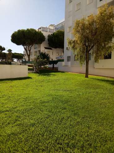 La imagen representa una serena escena de un edificio blanco con un frondoso césped verde y árboles delante, bajo un cielo azul despejado en un día soleado.