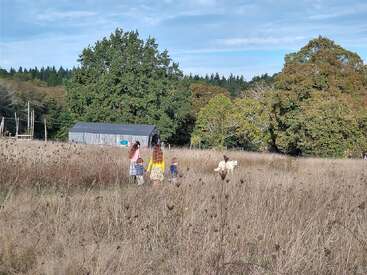 A group of people walks through a dry grassy field towards a barn, surrounded by trees and blue sky. Two white animals, possibly goats, ahead.