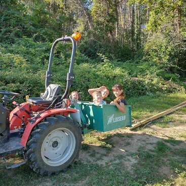 Four smiling children sit in the green loader attachment of a red tractor on a sunny day, surrounded by lush greenery and trees in the background.