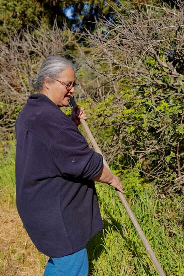 La imagen muestra a una mujer mayor con el pelo canoso, vestida con una chaqueta polar azul oscuro y vaqueros azules, de pie frente a un arbusto, sosteniendo un largo palo de madera.