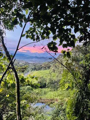 Lush green forest frames a vibrant sunset sky with pink and purple hues. A calm river winds through the landscape, creating a peaceful, picturesque scene.
