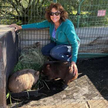 Una mujer con gafas de sol y una chaqueta verde azulado está arrodillada junto a dos wombats en un recinto. Sonríe mientras acaricia suavemente a uno de ellos mientras comen hierba.