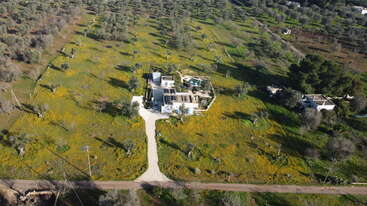 An aerial view shows a house surrounded by fields filled with yellow wildflowers, scattered trees, and a winding dirt driveway leading to a main road. Peaceful countryside.