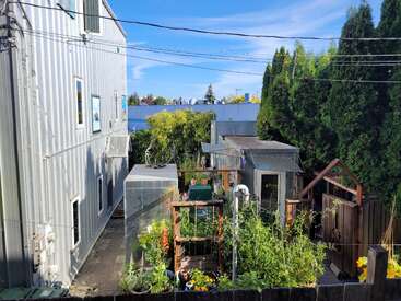 Ein kleiner Garten im Hinterhof ist voll mit üppigen Pflanzen, Gewächshäusern und Holzkonstruktionen. Er wird von einem hohen Metallgebäude und immergrünen Bäumen begrenzt.