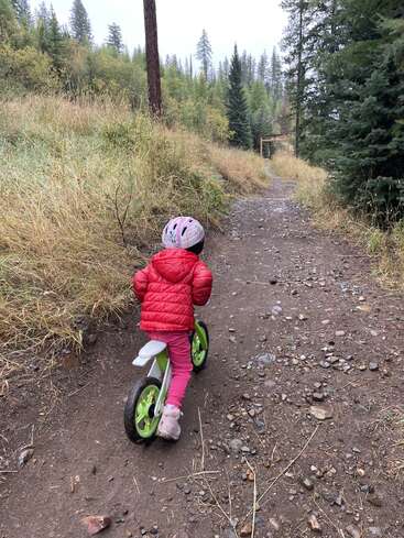 A young child in a red jacket and helmet rides a green balance bike up a rocky forest trail, surrounded by tall trees and grassy foliage.