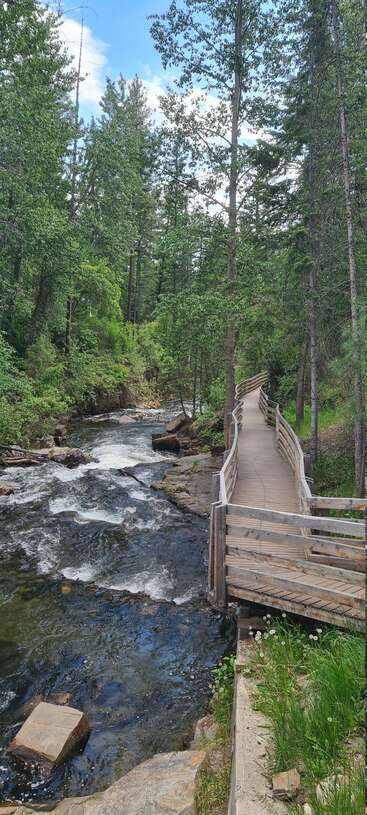 A wooden boardwalk winds through a lush green forest, crossing over a lively creek with white water rapids under a bright, partly cloudy blue sky.