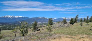 A scenic landscape featuring rolling green hills, scattered pine trees, distant snow-capped mountains, and a bright blue sky streaked with wispy white clouds on a clear day.