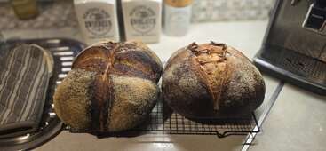Zwei rustikale Laibe selbstgebackenes Brot liegen auf einem Kühlgitter in der Küche. Die Krusten sind dunkel, goldbraun und schön eingeschnitten. Mehlsäcke stehen daneben.