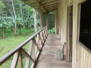 Un porche rustique en bois s'étend le long d'une cabane, surplombant une forêt tropicale verdoyante avec des bananiers. La lumière naturelle éclaire ce cadre rural et paisible.