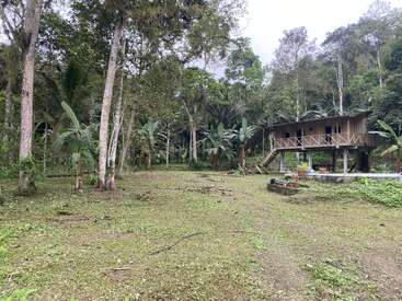 Une maison en bois sur pilotis se dresse dans la clairière d'une forêt tropicale luxuriante. De grands arbres entourent la zone, avec une verdure vibrante et une atmosphère paisible et naturelle.