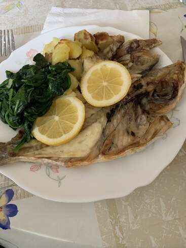 Une assiette de poisson au four garni de tranches de citron, accompagné de pommes de terre bouillies et d'épinards sautés. Le plat est présenté sur une assiette blanche à motifs floraux.