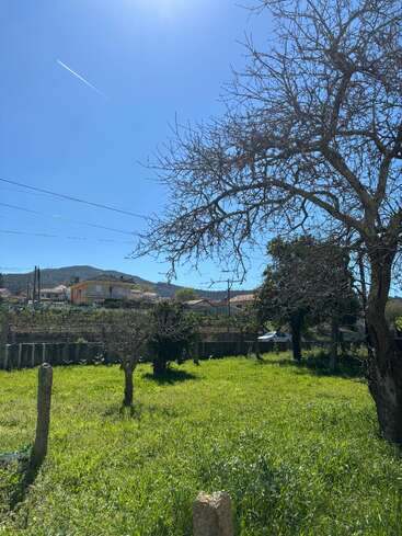Um dia claro e ensolarado no campo. Galhos de árvores sem folhas emolduram um quintal gramado, casas, colinas distantes e um jato voando pelo céu azul claro.