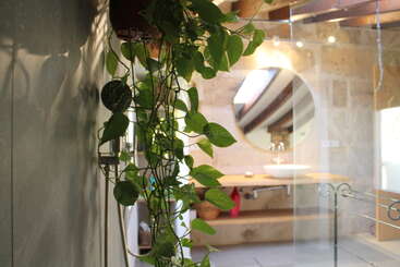 Une salle de bains moderne présente une plante verte suspendue, une douche murale, un grand miroir rond au-dessus d'un lavabo en bois, des poutres apparentes et des murs en pierre naturelle.