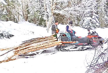 Zwei Personen sind in einem verschneiten Wald mit einem Schneemobil unterwegs. Das Schneemobil schleppt mehrere Baumstämme, möglicherweise frisch geschlagen, durch die Winterlandschaft unter schneebedeckten Bäumen.