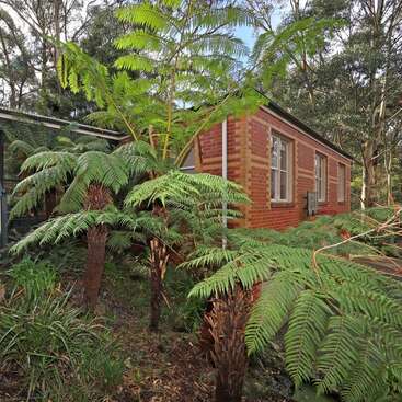 The image depicts a serene outdoor scene featuring a house with a lush garden, showcasing a variety of trees and bushes, with a clear sky in the background. The overall atmosphere is peaceful and idyllic.