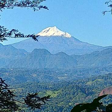 A snow-capped mountain rises majestically above rolling green hills and forests, framed by leafy tree branches under a clear blue sky, creating a serene landscape.