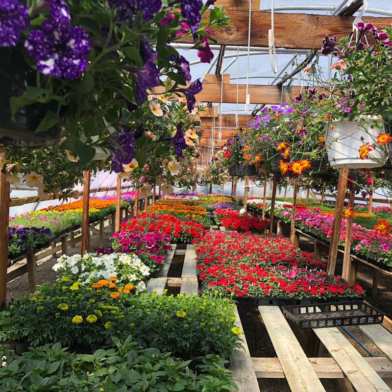 Landscape maintenance and nursery help in Kamloops, Canada