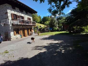 A rustic stone house with wooden shutters sits in a sunny, green yard. A dog walks across the driveway, surrounded by trees, hills, and outdoor furniture.