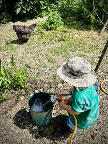 Un jeune enfant portant un chapeau et une chemise verte remplit un seau d'eau à l'aide d'un tuyau d'arrosage en plein air, tandis qu'un poulet noir marche à proximité dans un jardin.