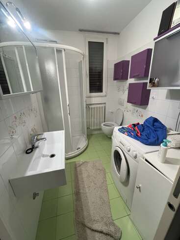 Dieses Badezimmer hat einen grün gefliesten Boden, eine Dusche, ein Waschbecken, eine Toilette, eine Waschmaschine, lila Schränke, ein Fenster und einen beigen Teppich.