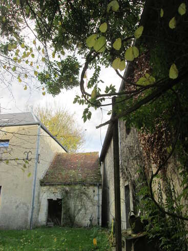 Cette image montre un vieux bâtiment rustique aux murs patinés par les intempéries, avec un toit en tuiles, recouvert de végétation et de lianes. Des branches feuillues encadrent la scène, créant une atmosphère paisible.