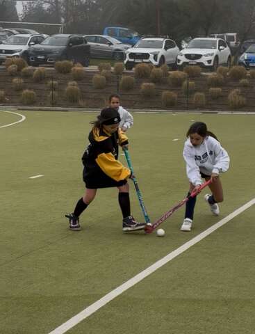 Three young girls are playing field hockey on a green turf. Two are competing for the ball while another one is closely following behind, outdoor setting.