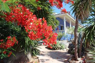 L'image représente un cadre extérieur serein, avec une pelouse d'un vert éclatant et un arbre majestueux, avec un plan d'eau tranquille en arrière-plan, évoquant un sentiment de paix et de beauté naturelle.