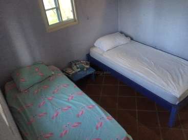 L'image représente une petite pièce avec deux lits, l'un avec un drap bleu à motifs de flamants roses et l'autre avec un drap blanc, et une fenêtre sur le mur.