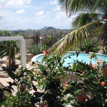 L'image représente une piscine sereine avec un arrière-plan montagneux, entourée de plantes et de fleurs tropicales luxuriantes, sur fond de journée lumineuse et ensoleillée.