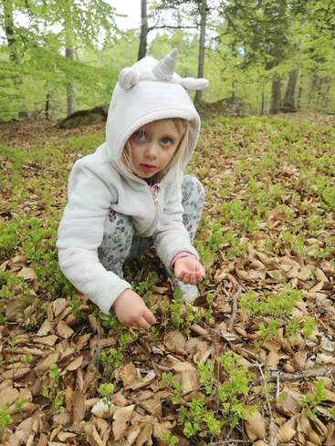 A young child wearing a unicorn hoodie crouches in a forest, picking small plants among fallen leaves, surrounded by lush green trees and soft spring light.