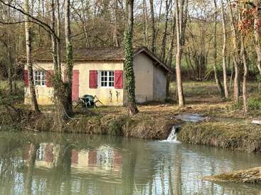 Un charmant petit chalet aux volets rouges se dresse au bord d'un étang paisible, au cœur d'une forêt tranquille. Des chaises d'extérieur, des arbres et une petite cascade viennent compléter le tableau.