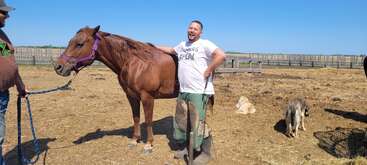 A man in green chaps laughs while leaning on a brown horse. Another man holds the horse’s lead. Two dogs rest nearby; sunny day on a ranch.