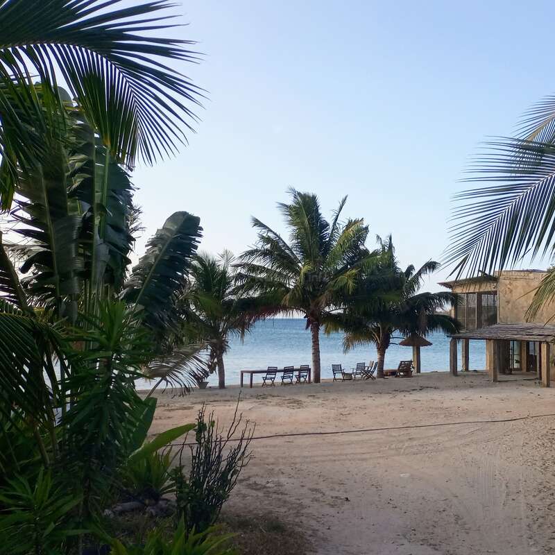 The image depicts a serene beach scene with palm trees, a sandy shore, and a tranquil body of water under a clear blue sky.