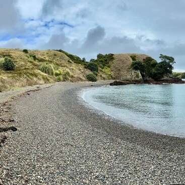 Una serena escena costera presenta una tranquila masa de agua, con una orilla cubierta de hierba y algunos árboles, evocando una sensación de tranquilidad y belleza natural. La imagen transmite calma y serenidad.