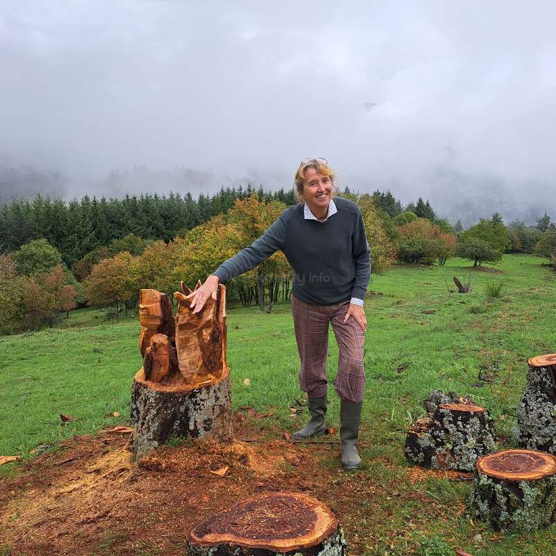 Una persona sonriente se encuentra al aire libre en un día brumoso, tocando un tocón de árbol tallado en un frondoso campo verde rodeado de árboles y colinas neblinosas.