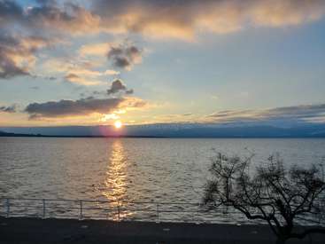 The image depicts a serene sunset over a body of water, with a tree in the foreground and a railing along the shore.