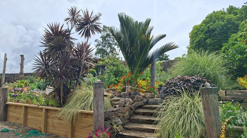 Un jardin luxuriant où se côtoient palmiers, graminées ornementales, fleurs colorées et marches en pierre. Des poteaux en bois et des plates-bandes surélevées encadrent ce paysage tropical éclatant sous un ciel radieux.