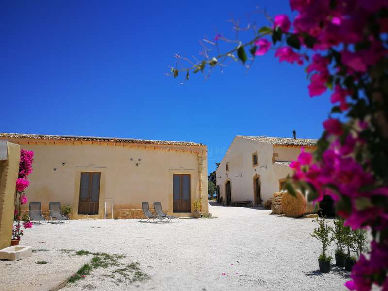 Das Bild zeigt einen ruhigen Innenhof mit zwei Gebäuden, einem sandigen Boden, leuchtend rosa Blumen und einem klaren blauen Himmel, der ein Gefühl von Ruhe und Entspannung vermittelt.