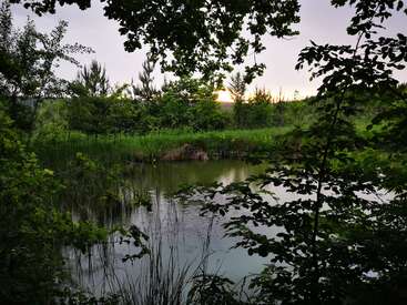 A imagem retrata um lago sereno cercado por uma vegetação exuberante, com árvores e gramíneas refletidas na água calma, em um céu cinza ao pôr do sol.
