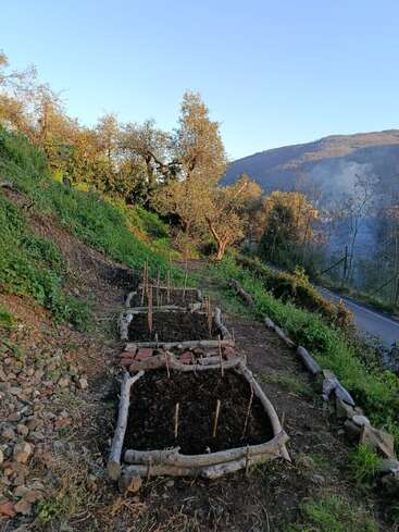 Trois plates-bandes surélevées au style rustique, bordées de rondins, sont disposées à flanc de colline, au milieu de la verdure et des arbres. Une route tranquille et des montagnes au loin viennent compléter le tableau.