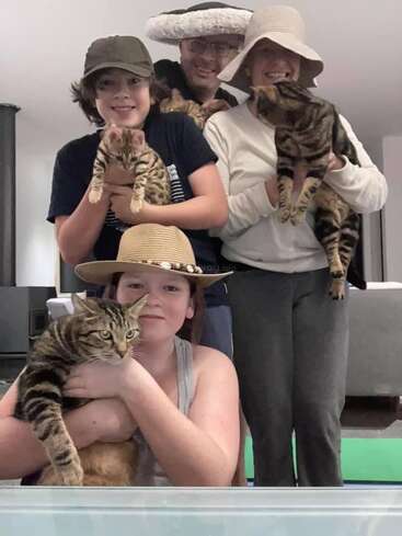 Cuatro personas sonrientes con sombrero posan en un interior, cada una con un gato atigrado en la mano. El ambiente es alegre, con todos muy juntos, mostrando su amor por los gatos.