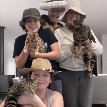 Four smiling people wearing hats pose indoors, each holding a tabby cat. The mood is joyful, with everyone clustered closely together, showcasing their love for cats.