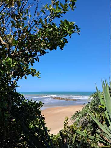 A folhagem verde exuberante emoldura uma cena de praia serena, com areia dourada, ondas suaves, afloramentos rochosos e um céu azul surpreendentemente claro acima, evocando tranquilidade.