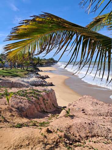 Uma cena de praia tropical, com uma costa arenosa, falésias rochosas, palmeiras, céu azul e ondas do mar, emoldurada lindamente por folhas de palmeira pendentes. Um paraíso tranquilo.